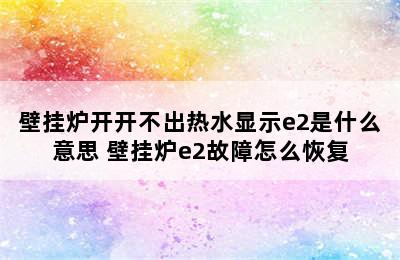 壁挂炉开开不出热水显示e2是什么意思 壁挂炉e2故障怎么恢复